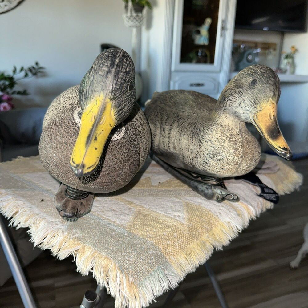 Duck Decoys